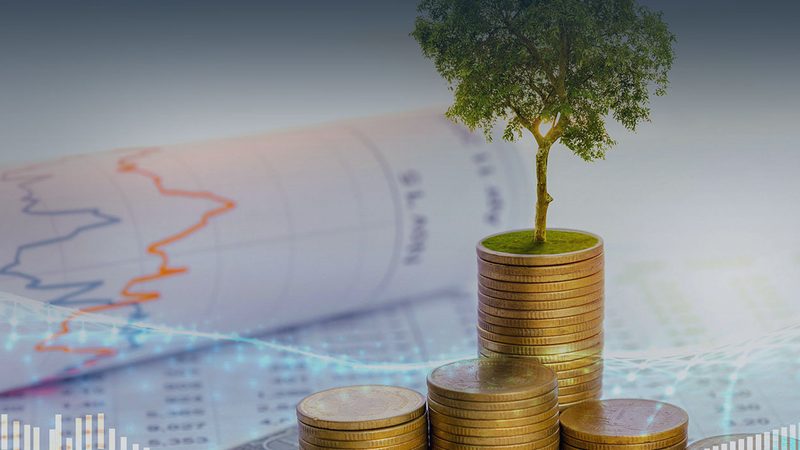 上市辅导尽职调查：中小企业必知的五大注意事项